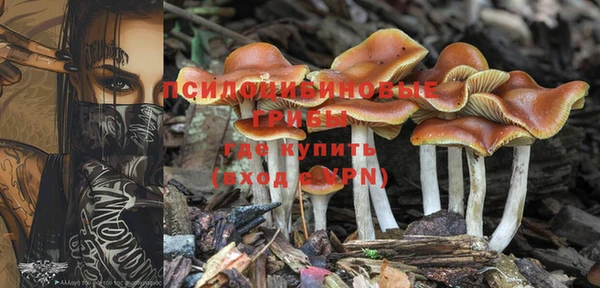 PSILOCYBIN Балабаново